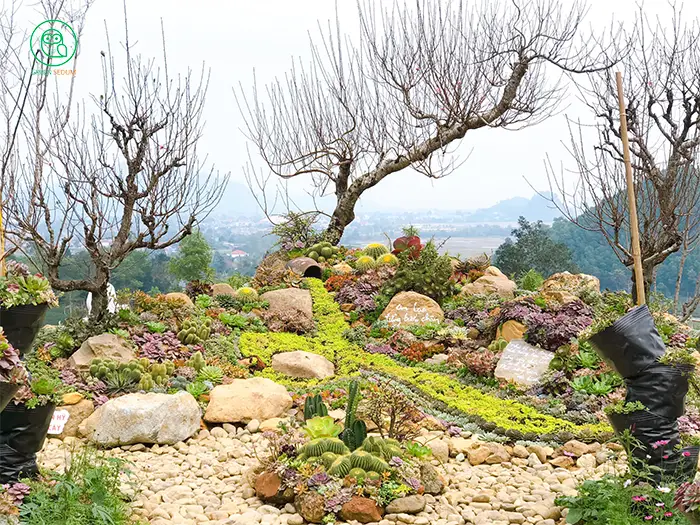 avatar The Temple with a Stunning 5,000-Succulent Garden Like a Heavenly Paradise in Vietnam