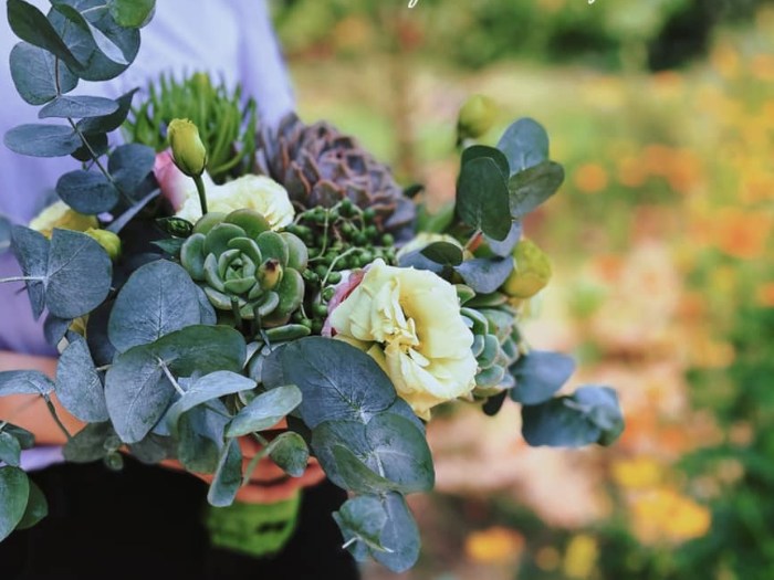 A wild yet refined bouquet with succulents, yellow blooms, and touches of greenery. Source_ Succulents and Cactus Vietnam Facebook Group