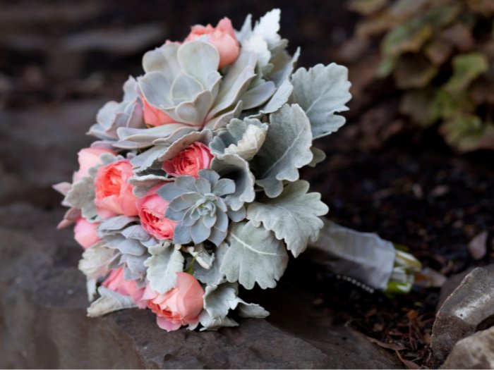 An elegant fusion of succulents, blush roses, and baby’s breath, creating a timeless and classic bouquet with a modern twist