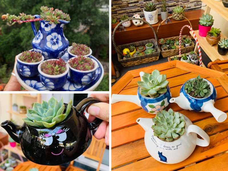 Teapot Succulent Planters