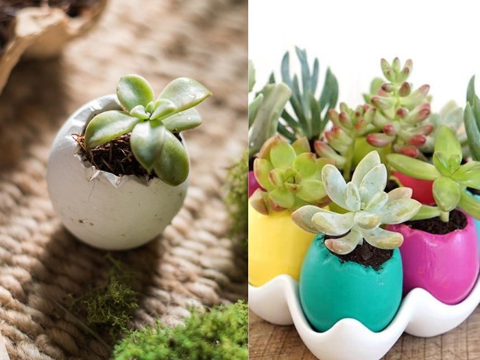 Eggshell Planters succulent unique planters for succulents