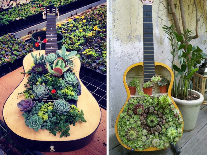 Guitar Case Succulent Gardens