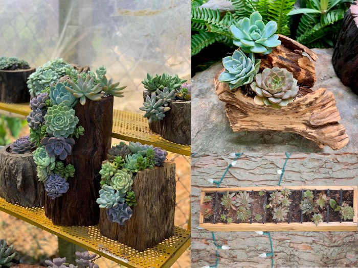 Reclaimed Wood Planters