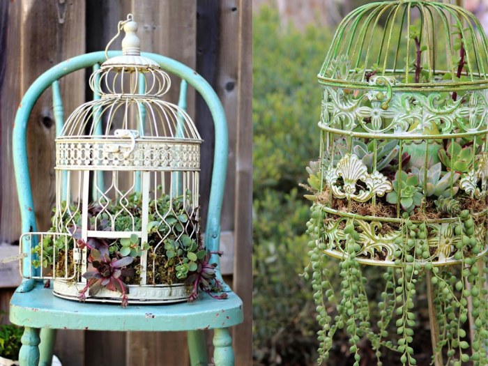 Repurposed Bird Cage as a Succulent Planter