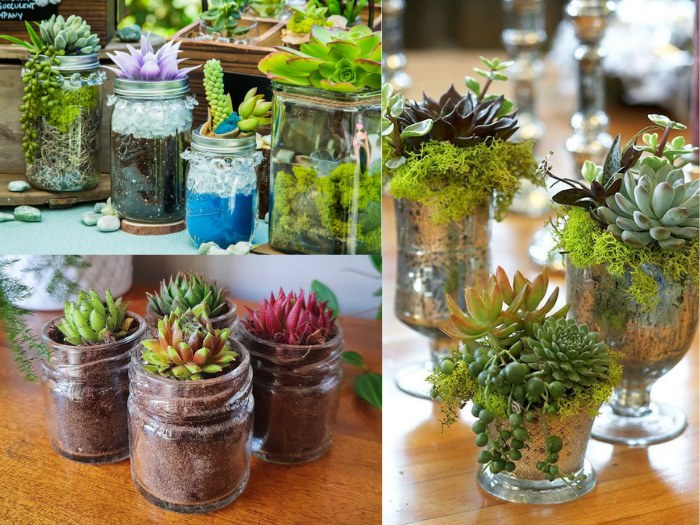 Repurposed Glass Planters succulent