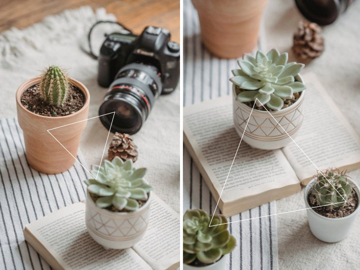 Using a triangular composition, the succulent pot stands out as the main subject, while the two background elements are blurred for depth.